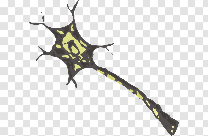 Neuron Nervous System Dendrite Brain Clip Art - Synapse Transparent PNG