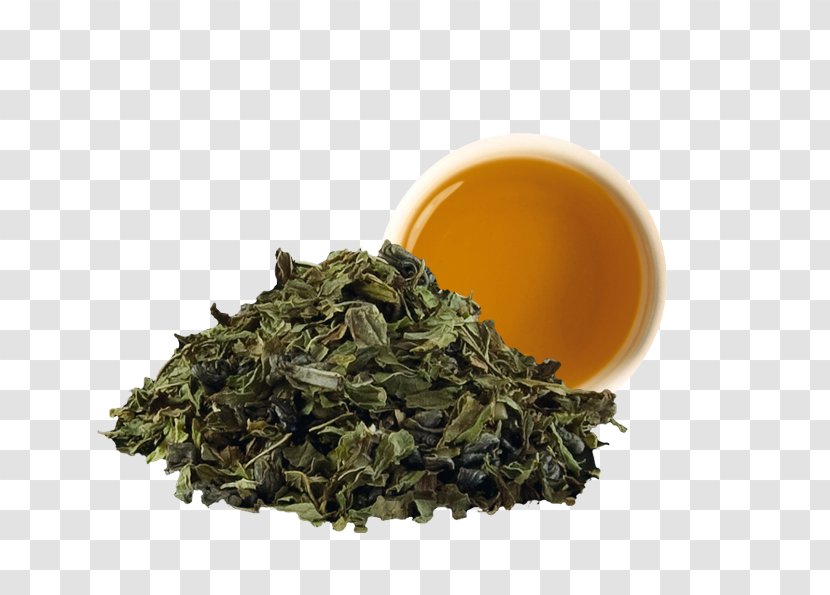 Green Tea Gunpowder Tieguanyin Nilgiri - Lapsang Souchong Transparent PNG