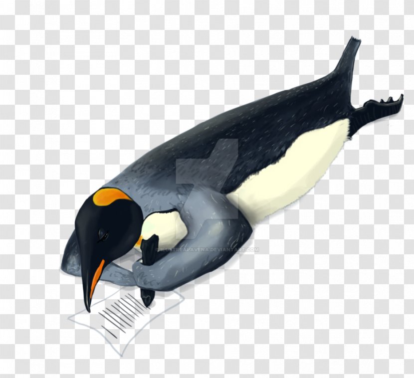 King Penguin Marine Mammal Animal Beak - Bird Transparent PNG