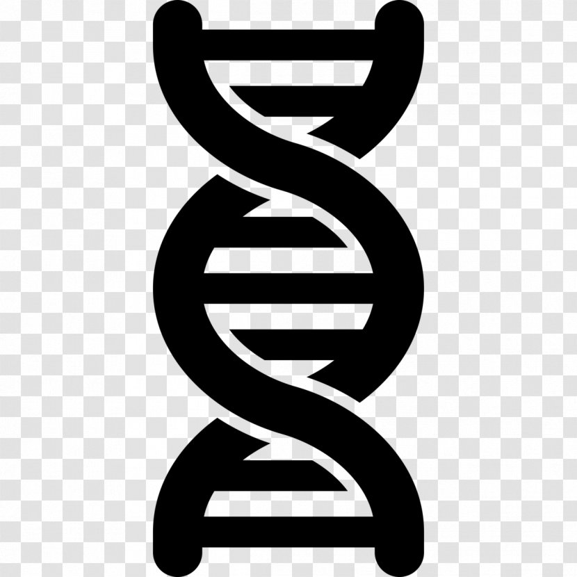 DNA Nucleic Acid Double Helix Genetic Testing Genetics Vector - Dna Sequencing Transparent PNG