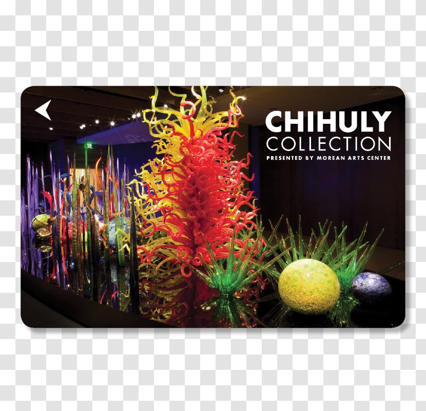 Morean Arts Center Chihuly Collection Chihuly: Glass Artist - Museum - Azimut Hotel Saintpetersburg Transparent PNG