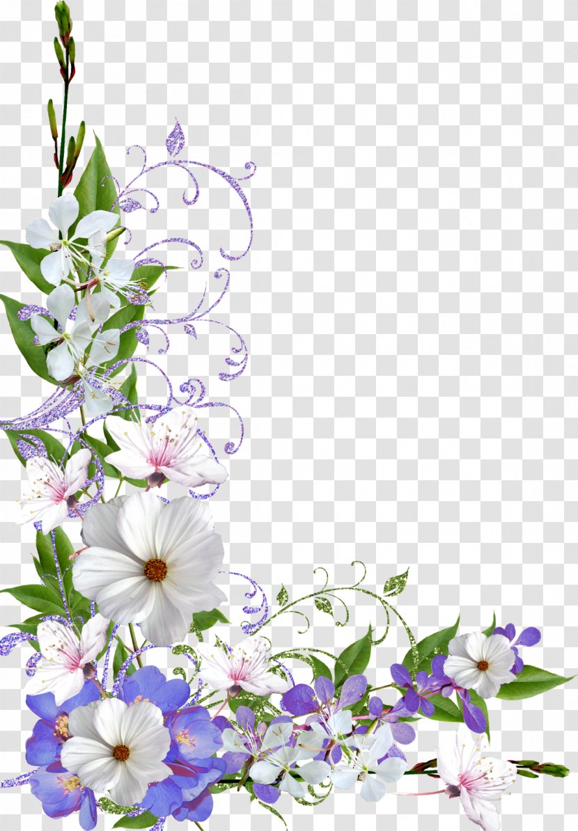 Clip Art Floral Design Flower Vector Graphics - Branch Transparent PNG