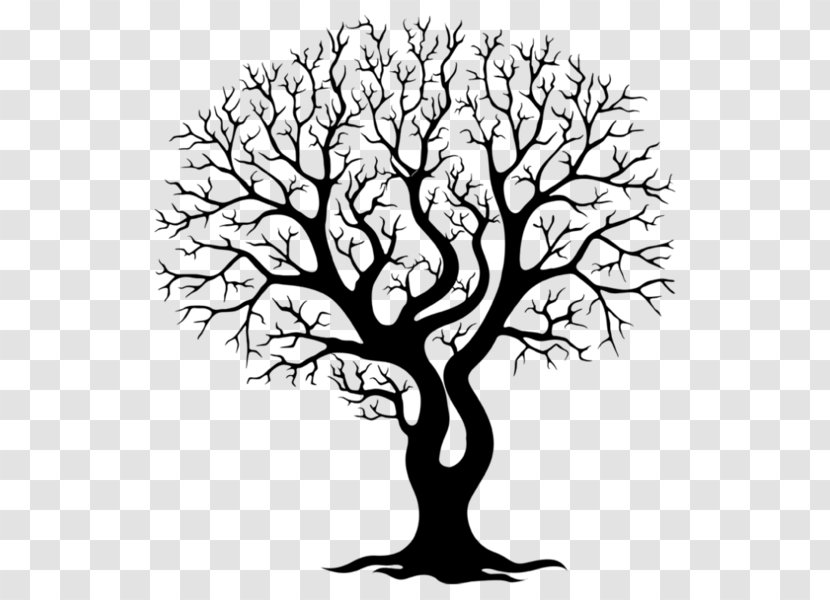 Branch Tree Wall Decal Trunk Drawing - Stock Photography Transparent PNG