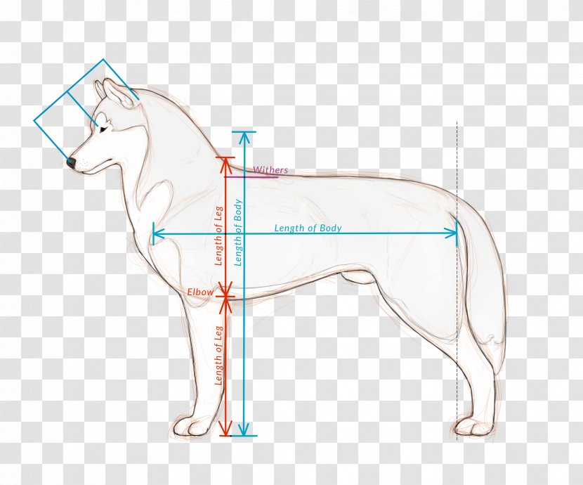 Horse Cat Dog Mammal Pet - Cartoon - Husky Transparent PNG