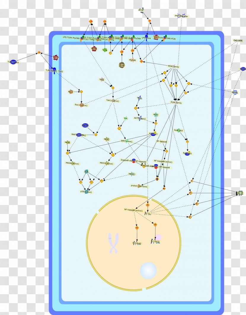 Line Point Angle Font - Diagram Transparent PNG