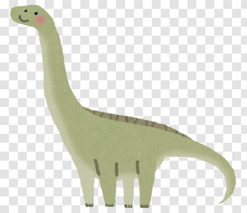 Apatosaurus Velociraptor Dinosaur Rapetosaurus Brontosaurus - Animal Transparent PNG