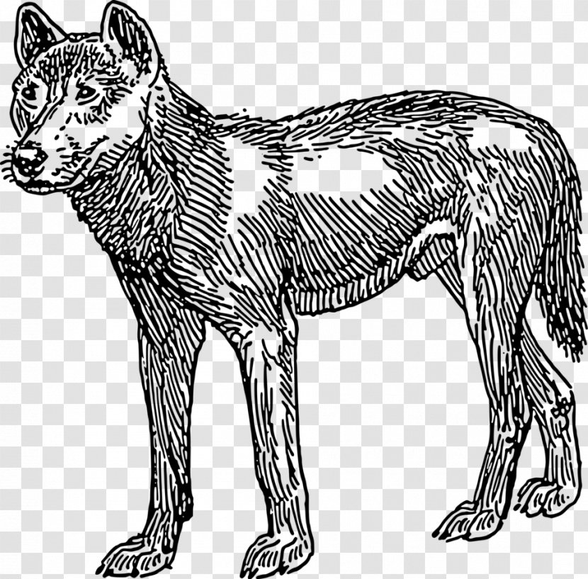 Dingo Rottweiler Clip Art - Red Fox Transparent PNG