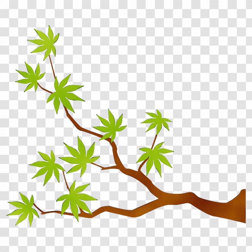 Leaf Plant Branch Stem Tree - American Larch Flower Transparent PNG
