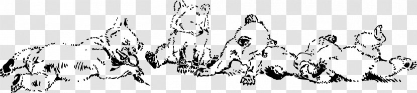 Drawing Clip Art - Organism - Lion's Clipart Transparent PNG