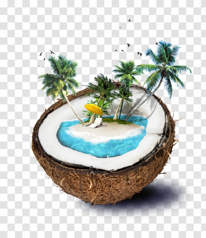 Coconut Water Travel - Island - Shading Borders,Shading Template Download,Shading Material Download Transparent PNG