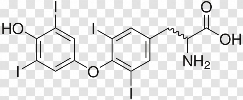 Levothyroxine Pharmaceutical Drug Thyroid Hormones Active Ingredient - Endocrine Glands Transparent PNG