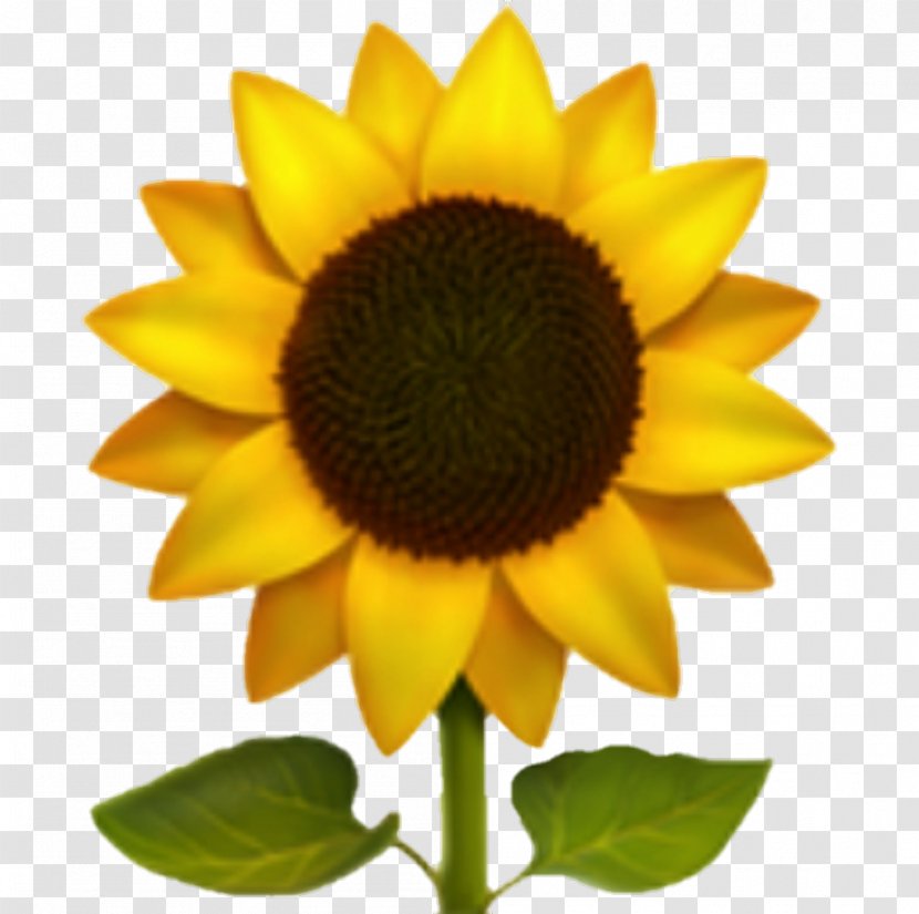 Emoji Domain Clip Art Emojipedia - Sunflower Transparent PNG