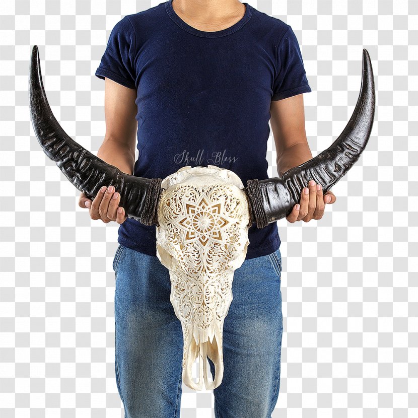 Horn Mandala The World Within Our Minds Skull Cattle - Buffalo Transparent PNG