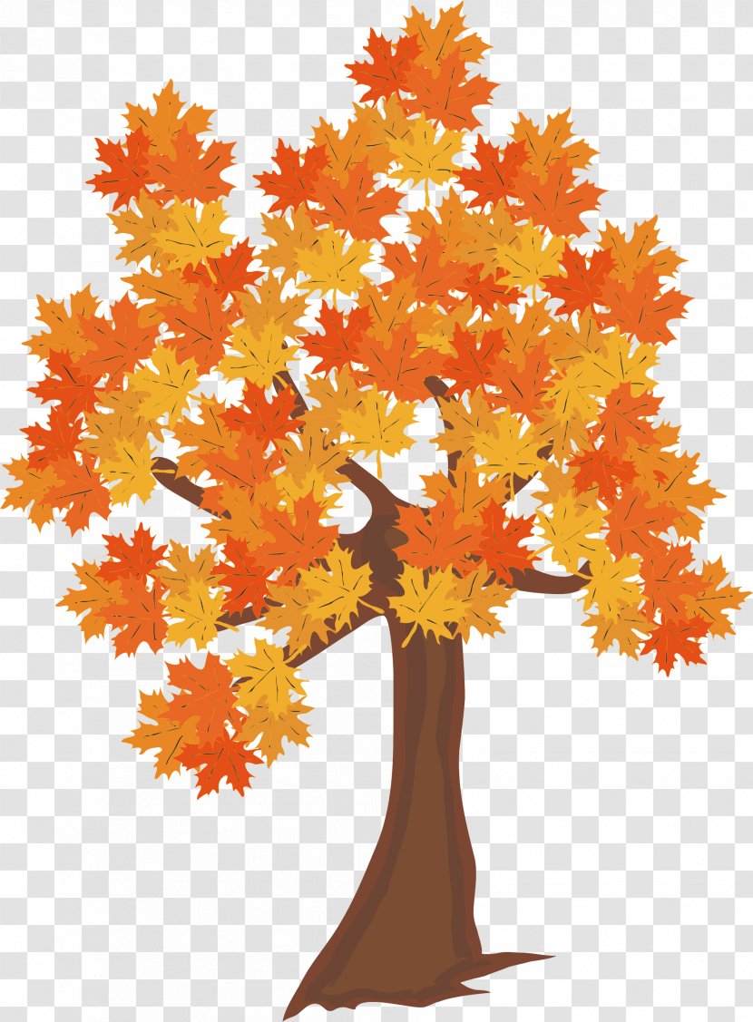 Graphic Design Autumn Season Tree - Flowering Plant - Walnut Transparent PNG