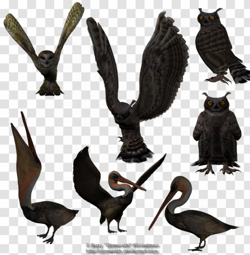 3D Computer Graphics Rendering Bird Texture Mapping - Organism - Parrot Creative Transparent PNG