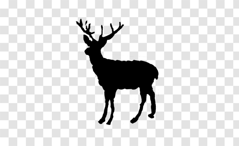 Reindeer Red Deer Elk Christmas - Designer Transparent PNG
