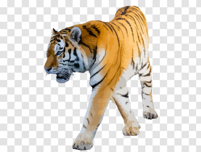 Lion Clip Art Felidae Bengal Tiger Cat - Big Cats Transparent PNG