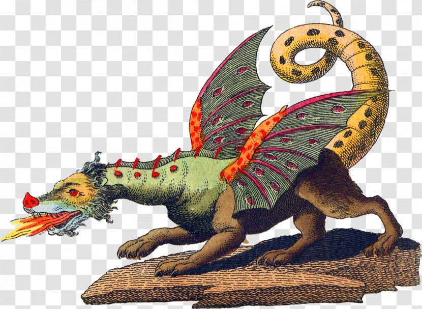 Legendary Creature Mythology European Dragon Grendel - Cockatrice Transparent PNG