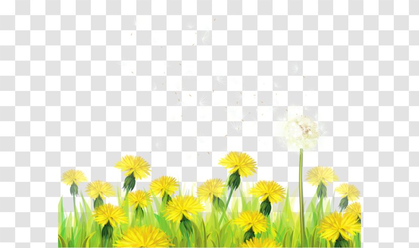 Dandelion Paper Clip Art - Petal - Fild Transparent PNG