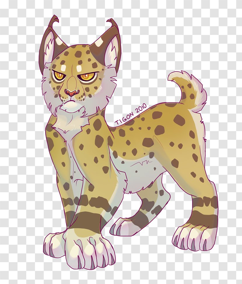 Whiskers Cheetah Cat Tigon Lion - Eurasian Lynx Transparent PNG
