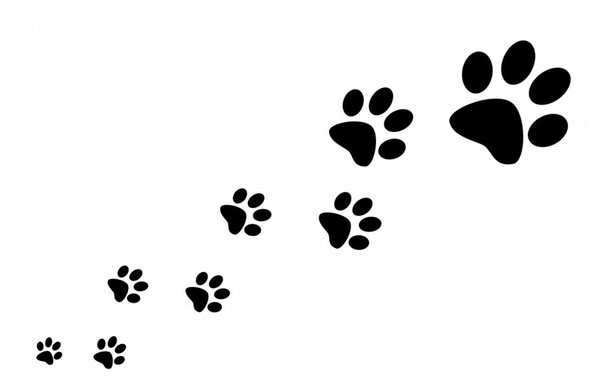 Dog Cat Paw Silhouette Clip Art - Surrender Cliparts Transparent PNG