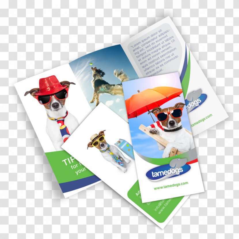 Mockup Brochure Graphic Design Printing - Brand - Folder Transparent PNG