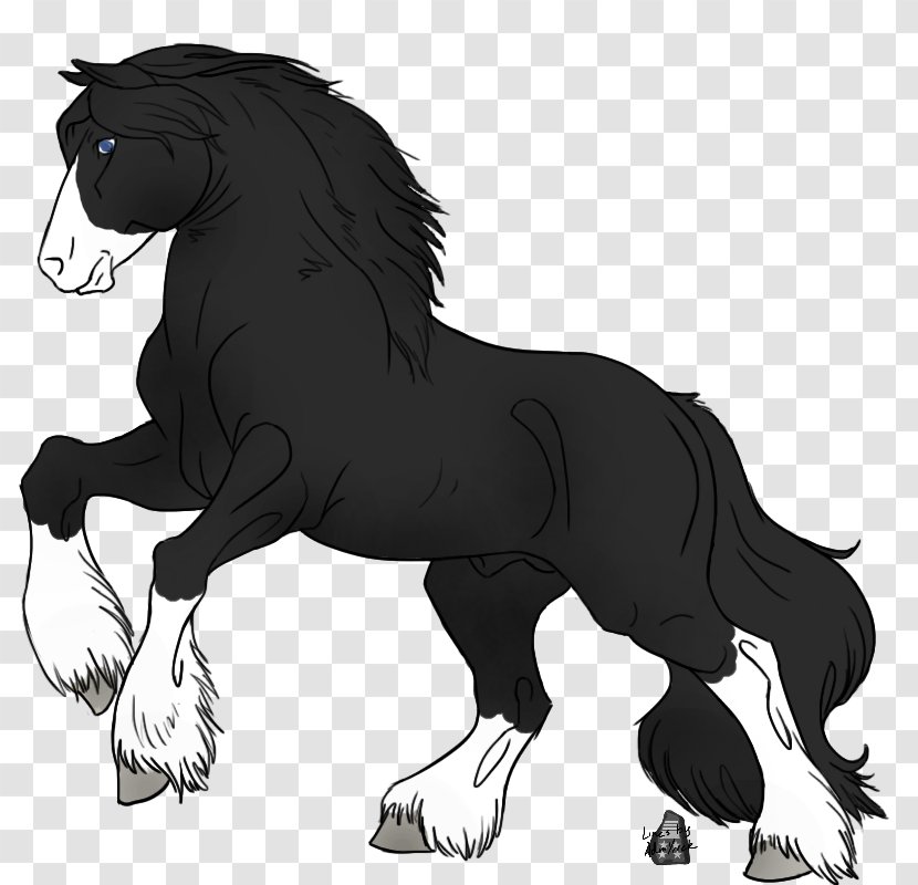 Mane Pony Gypsy Horse Mustang Foal - Vertebrate Transparent PNG