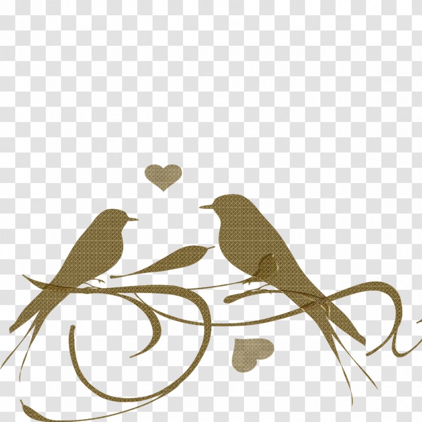 Clip Art Lovebird Free Content - Silhouette - Twig Transparent PNG