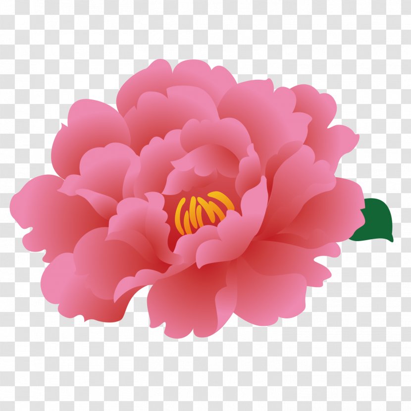 Moutan Peony Download Clip Art - Flower - Flowers Transparent PNG