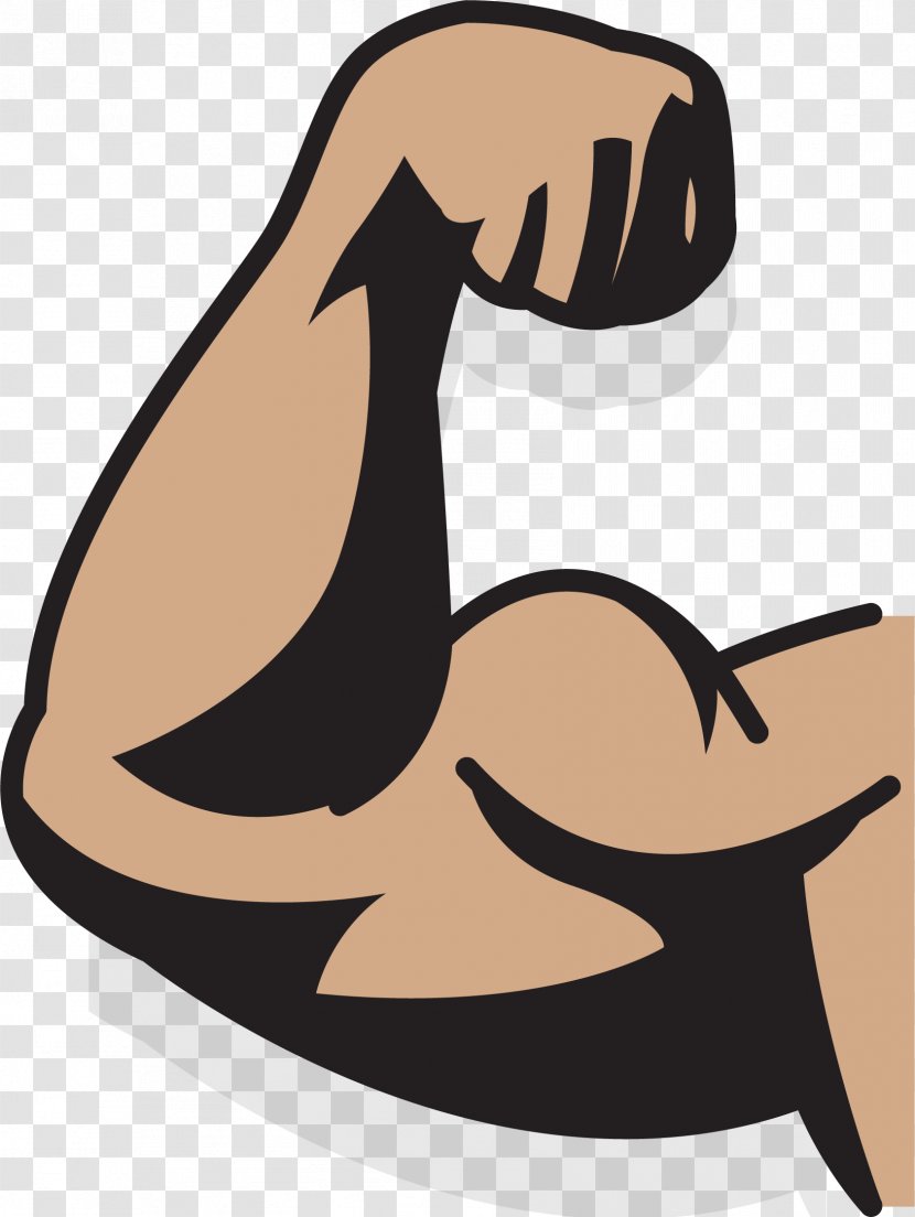 Muscle Drawing Augu0161delms Arm - Upper Limb - A Strong Transparent PNG