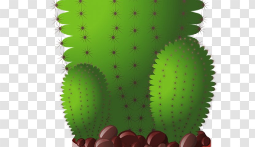 Happy Cactus: Cacti, Succulents, And More Clip Art Openclipart - Cactus - Carton Seedling Transparent PNG