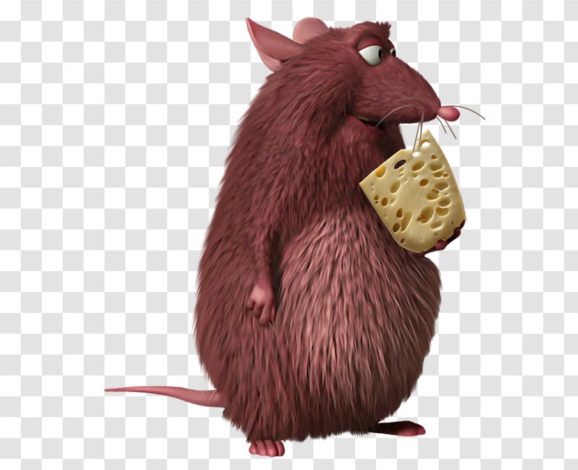 Skinner Rodent Rat Computer Mouse Clip Art - Muridae - Fare Transparent PNG