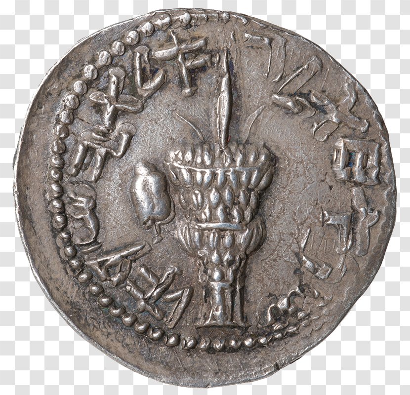 Coin Collecting Bullion Gold Biblical Hebrew - Hebrews Transparent PNG