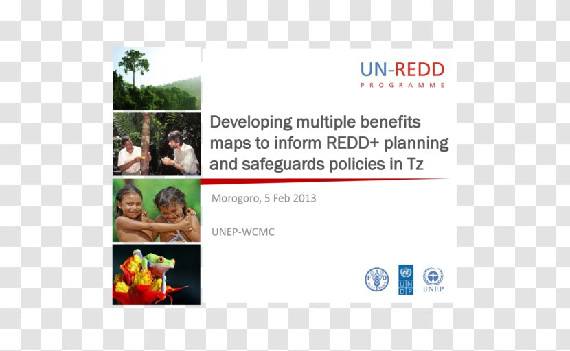 Reducing Emissions From Deforestation And Forest Degradation United Nations REDD Programme Transparent PNG