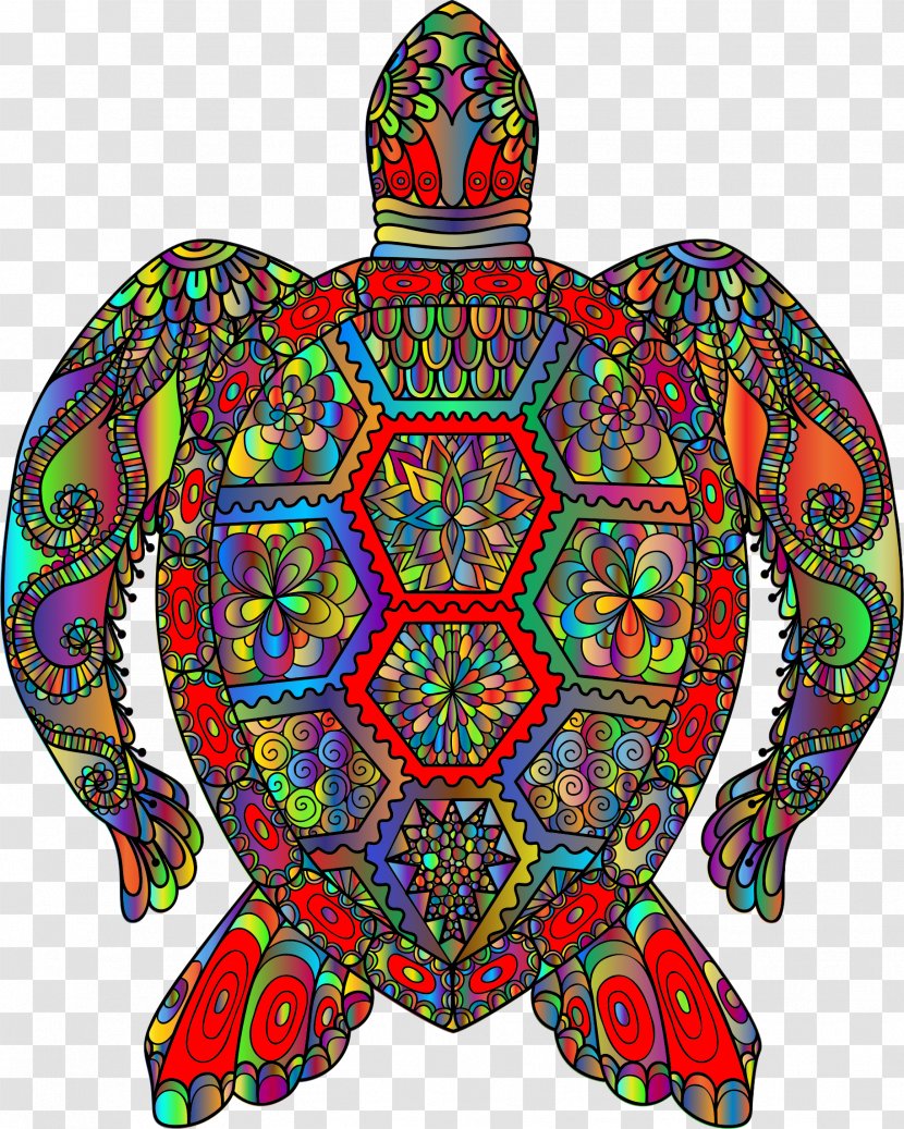 Sea Turtle Art Clip - Window Transparent PNG