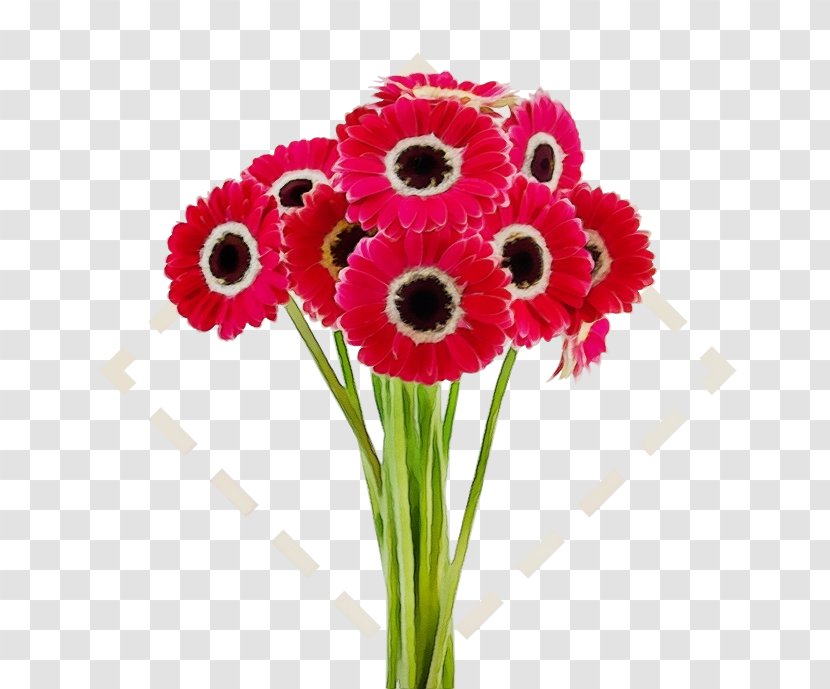 Bouquet Of Flowers Drawing - Artificial Flower Daisy Family Transparent PNG