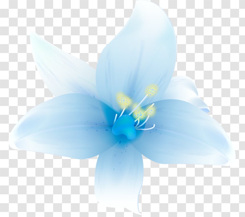 Petal Blue Flower Graphics Wallpaper - Turquoise - Large White Lilium Clipart Transparent PNG