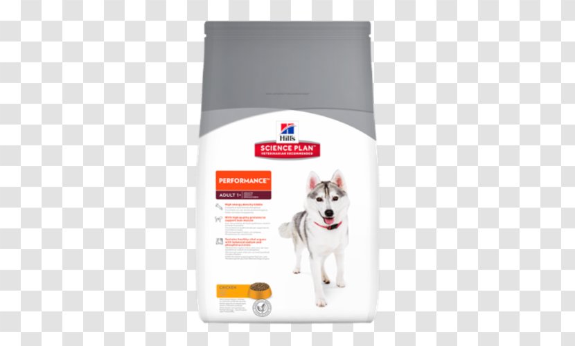 Dog Cat Food Science Diet Hill's Pet Nutrition Veterinarian - Like Mammal Transparent PNG