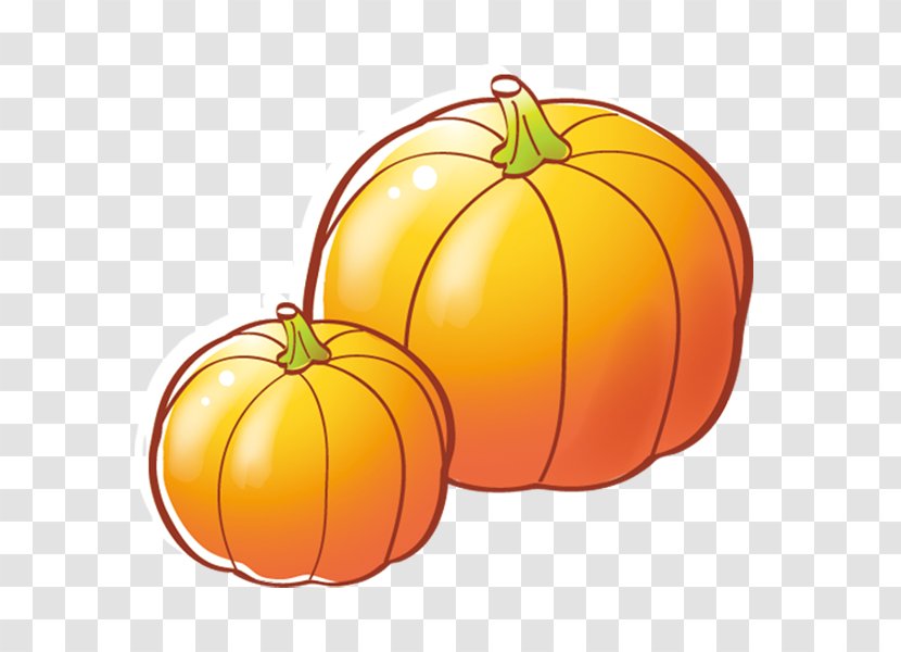 Jack-o-lantern Calabaza Pumpkin Cucurbita Pepo - Gourd Transparent PNG