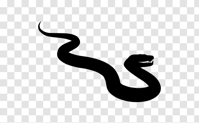 Snake Reptile Python Family - Black And White - Anaconda Transparent PNG
