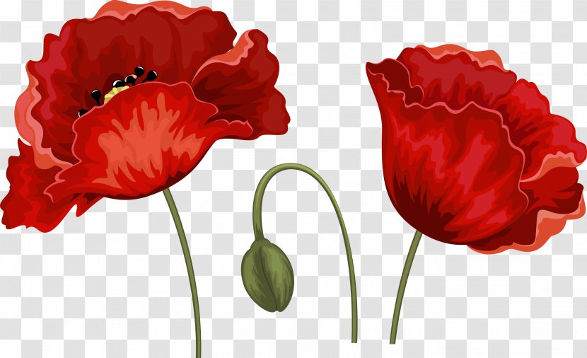 Remembrance Poppy Throw Pillows Flower - Petal - L Transparent PNG