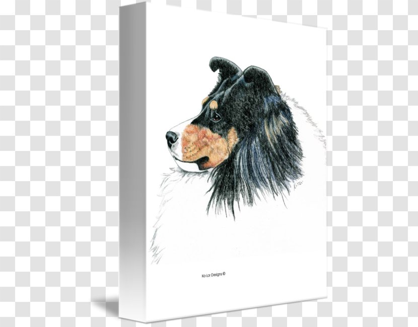 Shetland Sheepdog Old English Companion Dog Breed - Canvas Transparent PNG