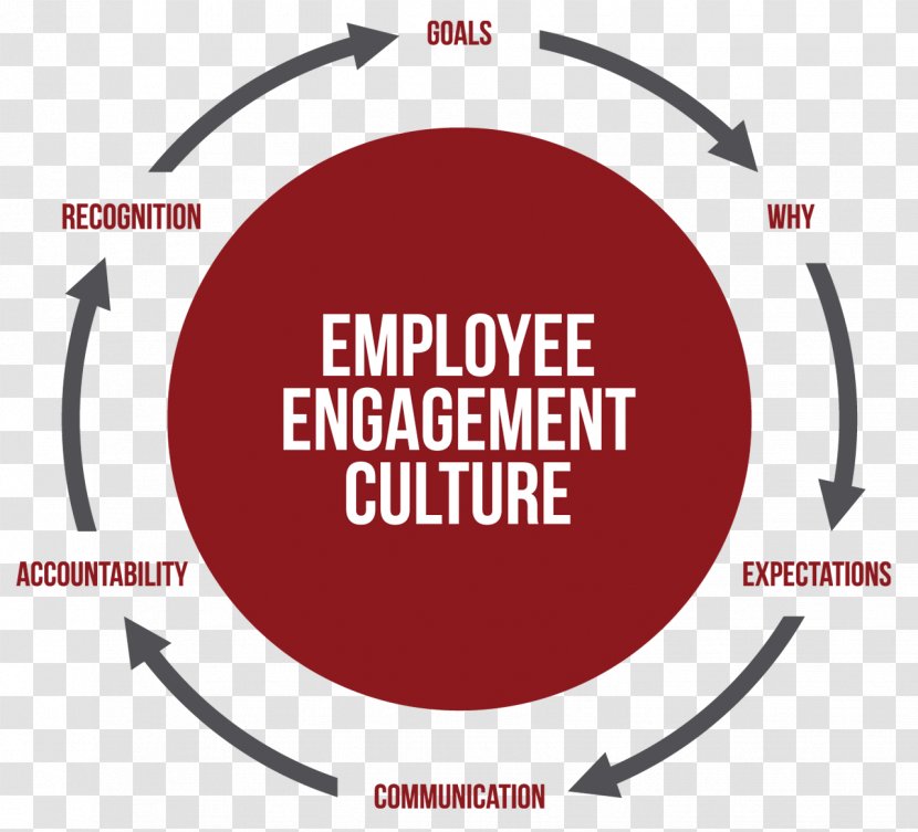 Employee Engagement Brand Culture Leadership - No Excuses - Embrace Clipart Transparent PNG