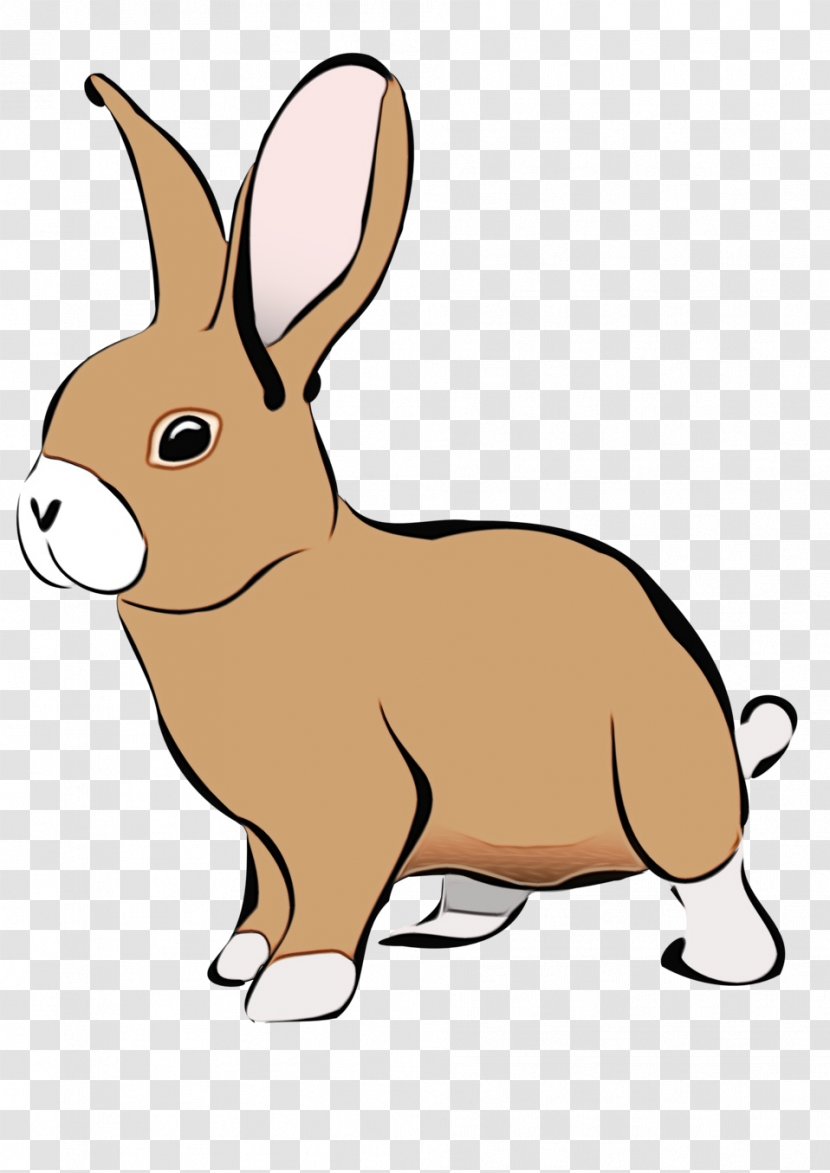 Domestic Rabbit Rabbits And Hares Cartoon Clip Art - Snout Hare Transparent PNG
