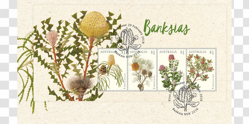 Floral Design Australia Postage Stamps Banksia Philately - Plant Transparent PNG