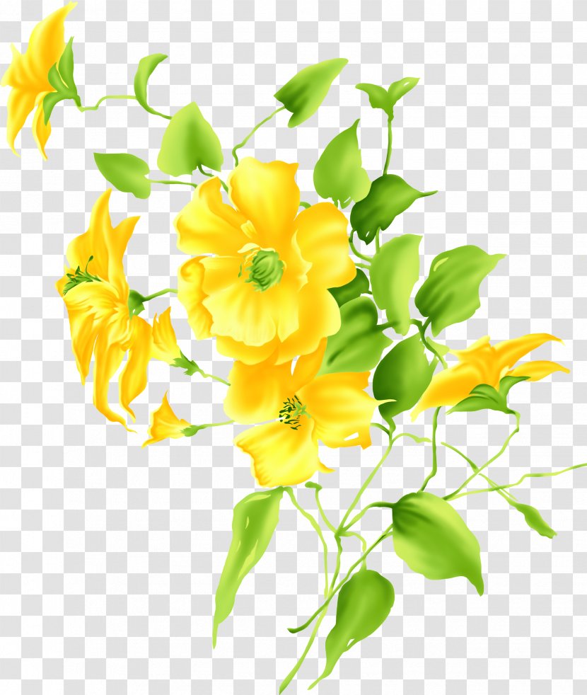 Yellow Flower Drawing Clip Art - Plant - Lily Transparent PNG