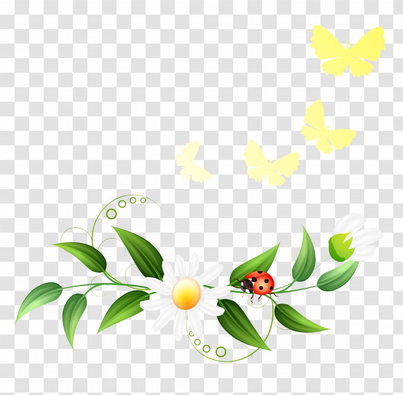 Spring Clip Art - Floral Design Transparent PNG