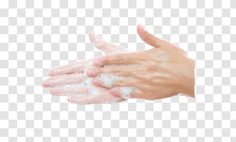 Chemistry Hard Water Experiment Salt - Washing - Hand Wash Hands Transparent PNG