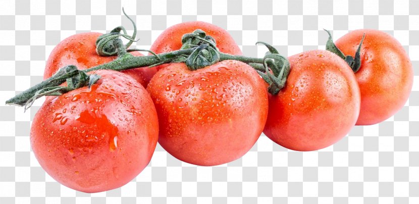 Plum Tomato Aubrac Vegetarian Cuisine - Potato And Genus Transparent PNG