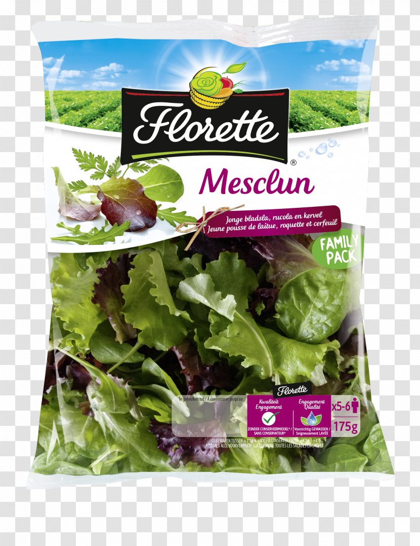 Romaine Lettuce Mesclun Corn Salad - Natural Foods Transparent PNG